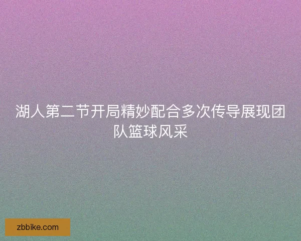 湖人第二节开局精妙配合多次传导展现团队篮球风采